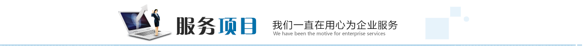 服务项目